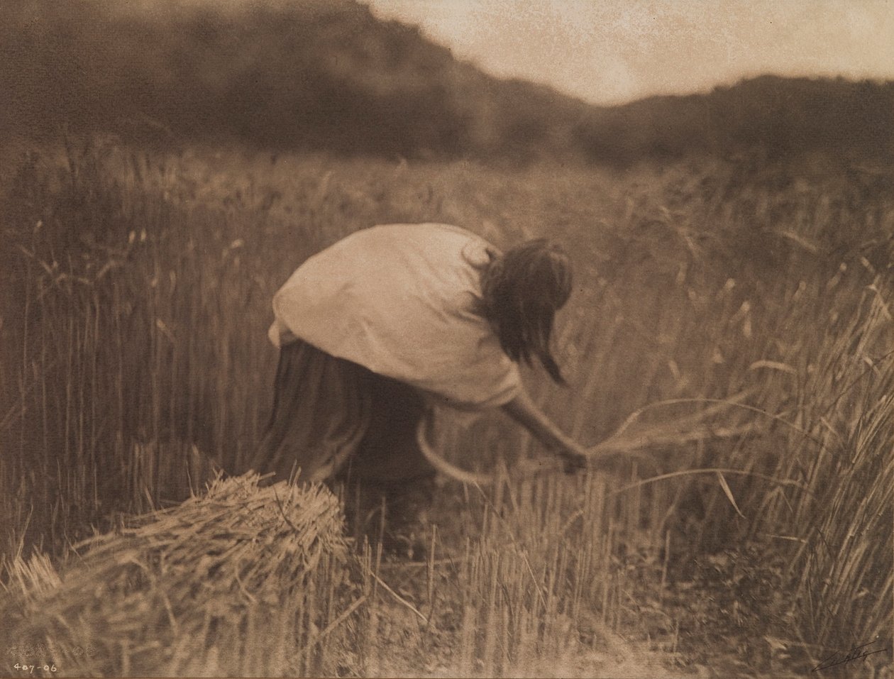 Apache Reaper av Edward S. Curtis