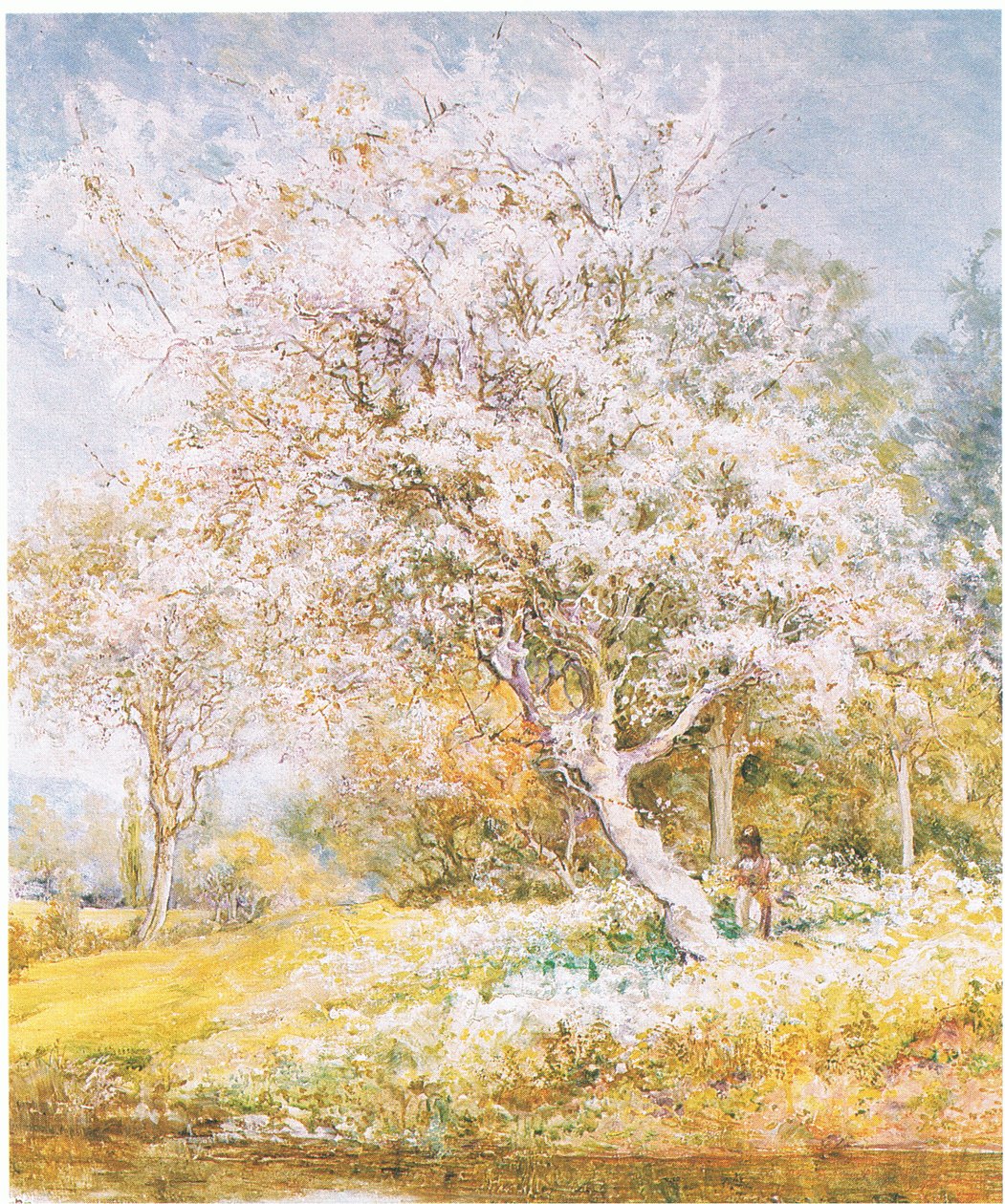 Insamling av blommor, från tidning eller bokkälla okänd (färg litho) av Edward Samuel Harper