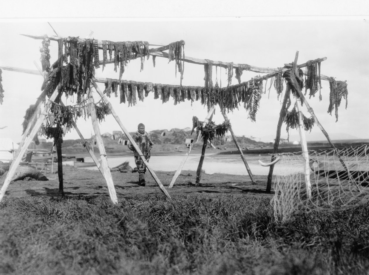 En eskimåman som står under en struktur med valkött hängande på tork, ca 1929 (s/v foto) av Edward Sheriff Curtis
