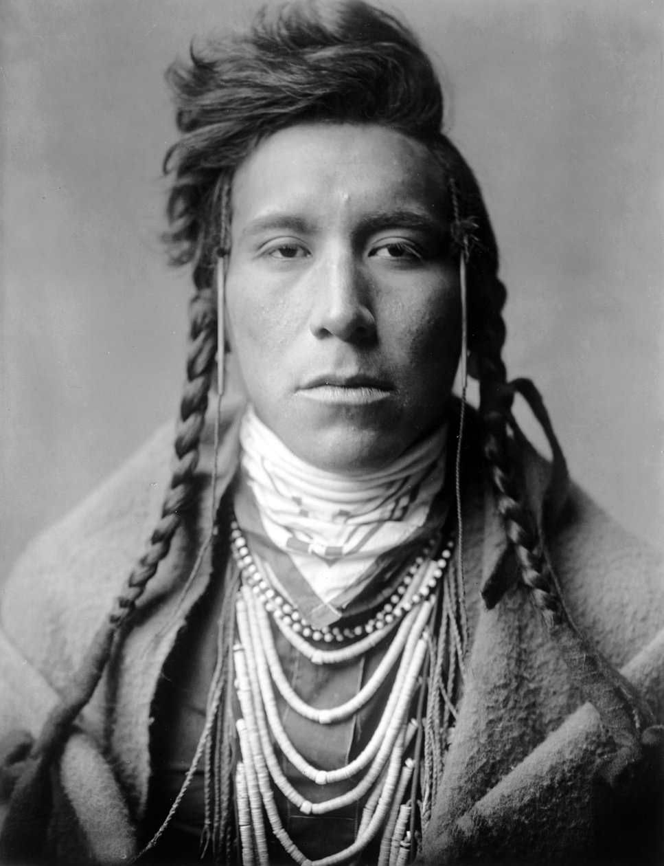 Fågel på höglandet, kråkindian, Montana, USA, ca. 1908, foto Edward S. Curtis av Edward Sheriff Curtis