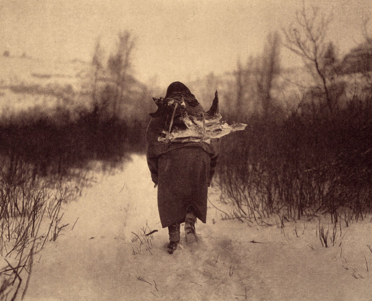 Går på läger. En apsarokeindian som bär ved i snön, i ett litet vinterläger nära en bäck i Pryorbergen, Montana. Foto taget från volym 4 av uppslagsverket publicerat av Edward S. Curtis (1868-1952) om indianerna i Nordamerika, med av Edward Sheriff Curtis