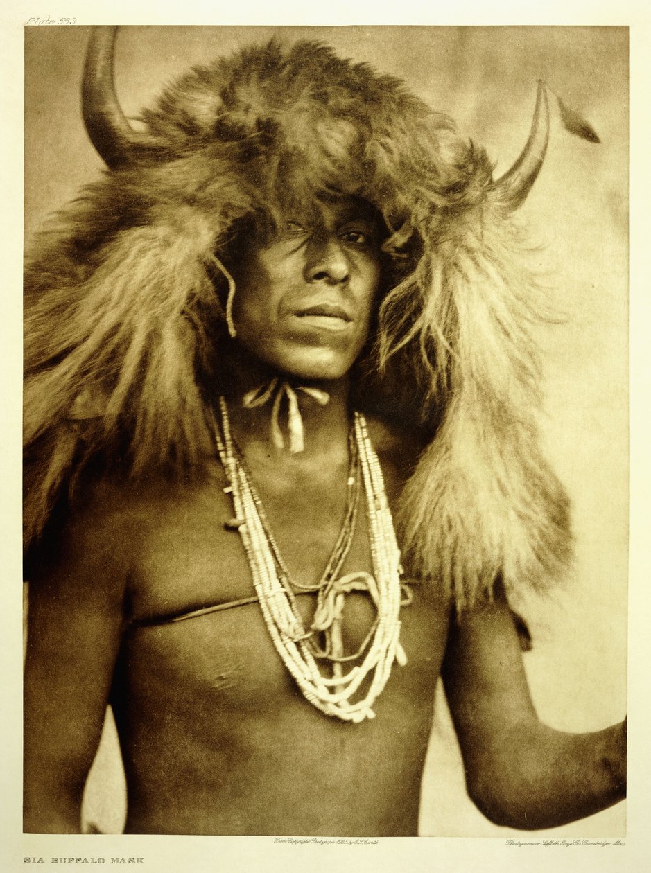Båda Buffalo Mask av Edward Sheriff Curtis