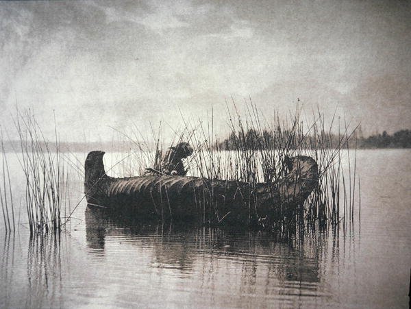 The Rush Gatherer, Montana (s/v foto) av Edward Sheriff Curtis