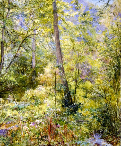 Prickigt solljus, Sheepscombe Woods av Edward Steel Harper