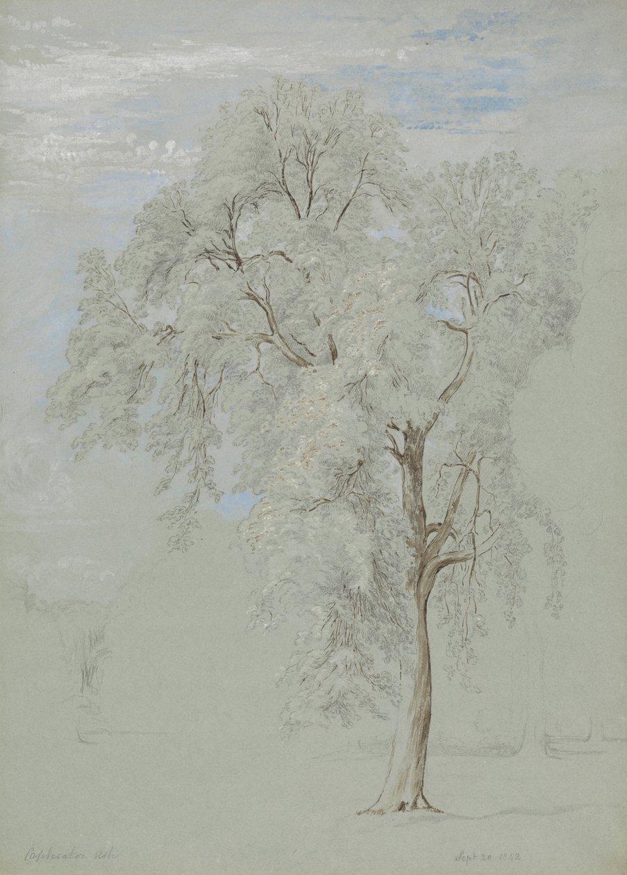 swedish av Edward Swinburne