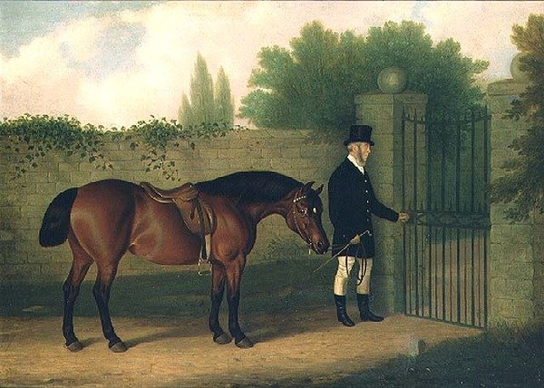 Häst och brudgum av Edward Tolley