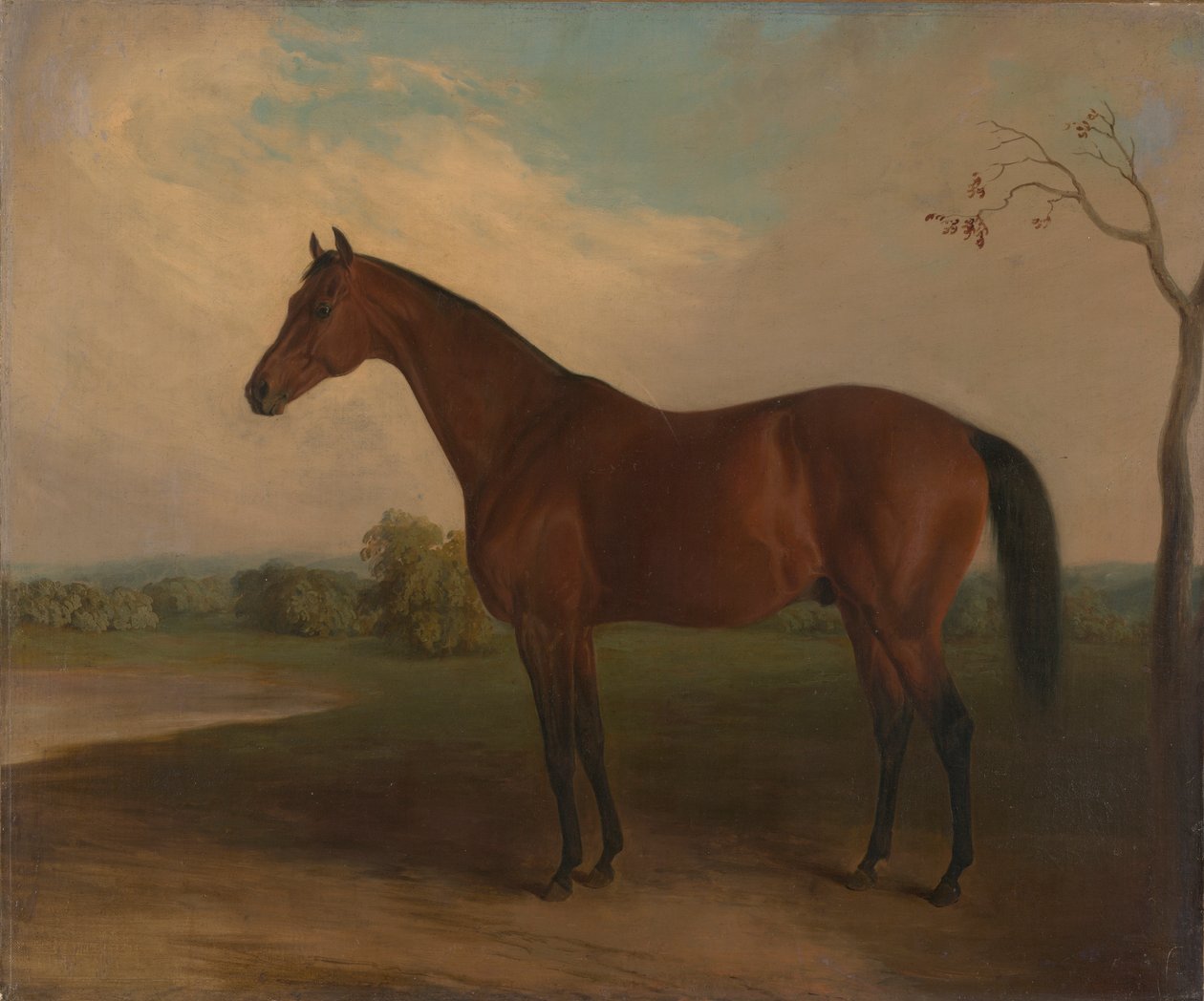 Suverän av Edward Troye