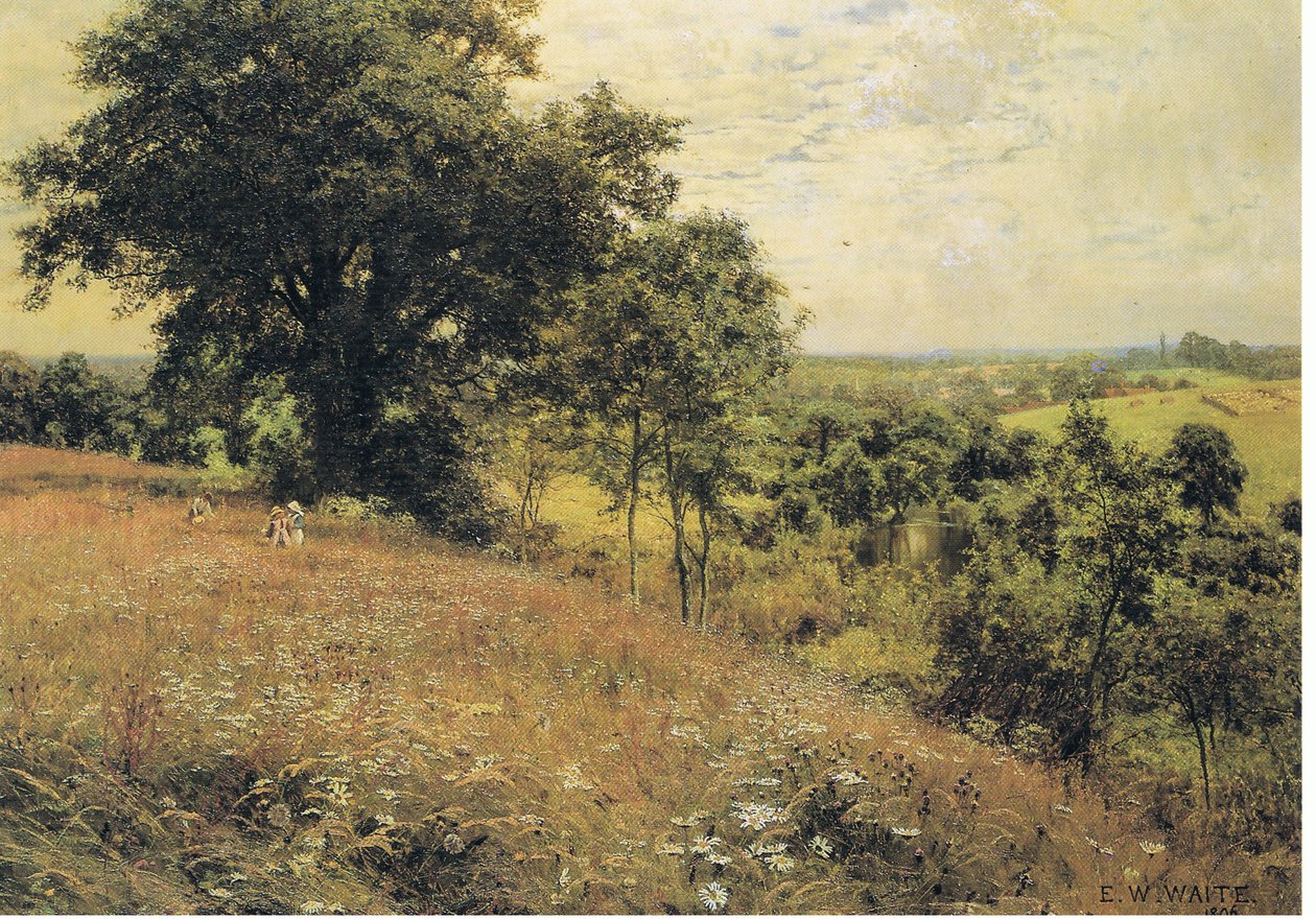 På ängen av Edward Wilkins Waite