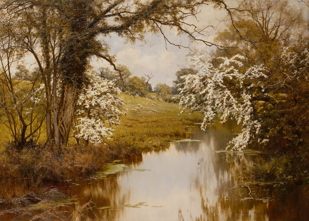 Where Spreading Hawthorns Gaily Bloom (olja på duk) av Edward Wilkins Waite
