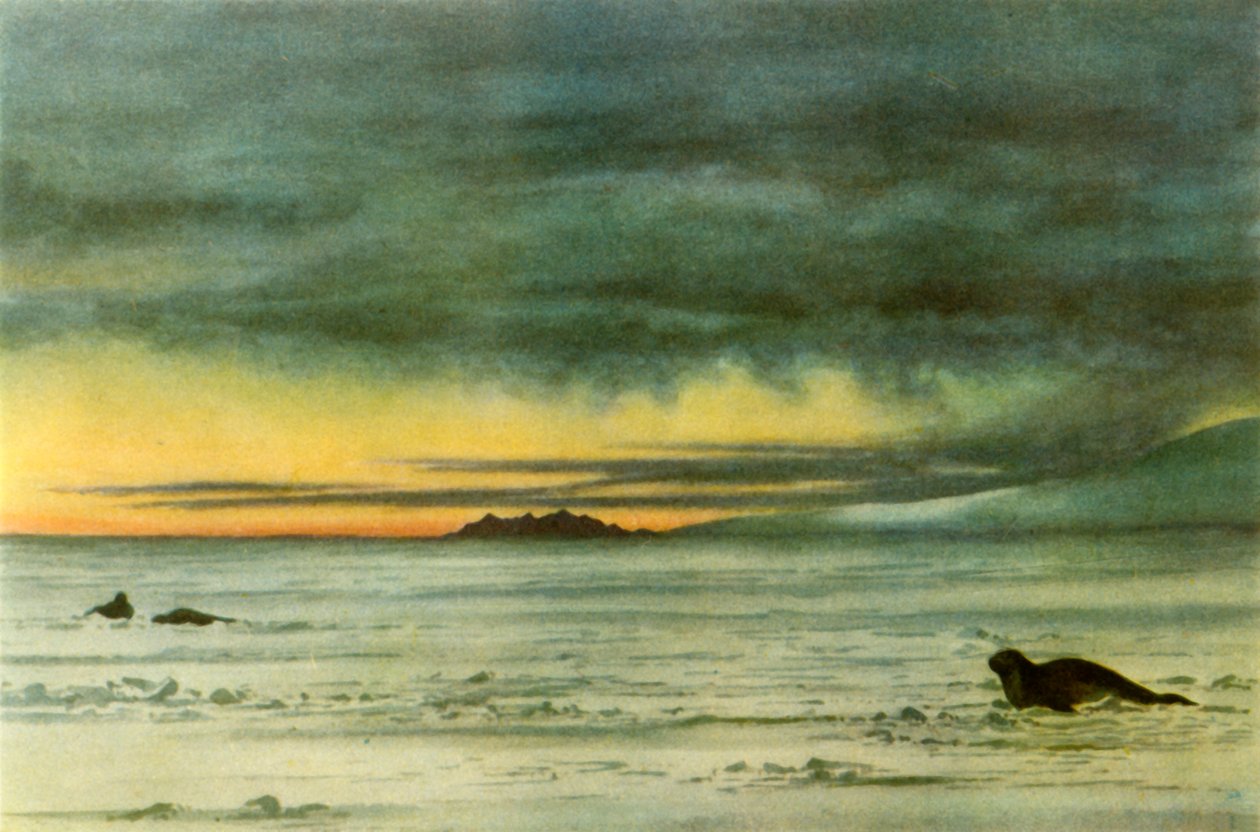 "Looking North in McMurdo Sound", 1911, 1946. av Edward Wilson