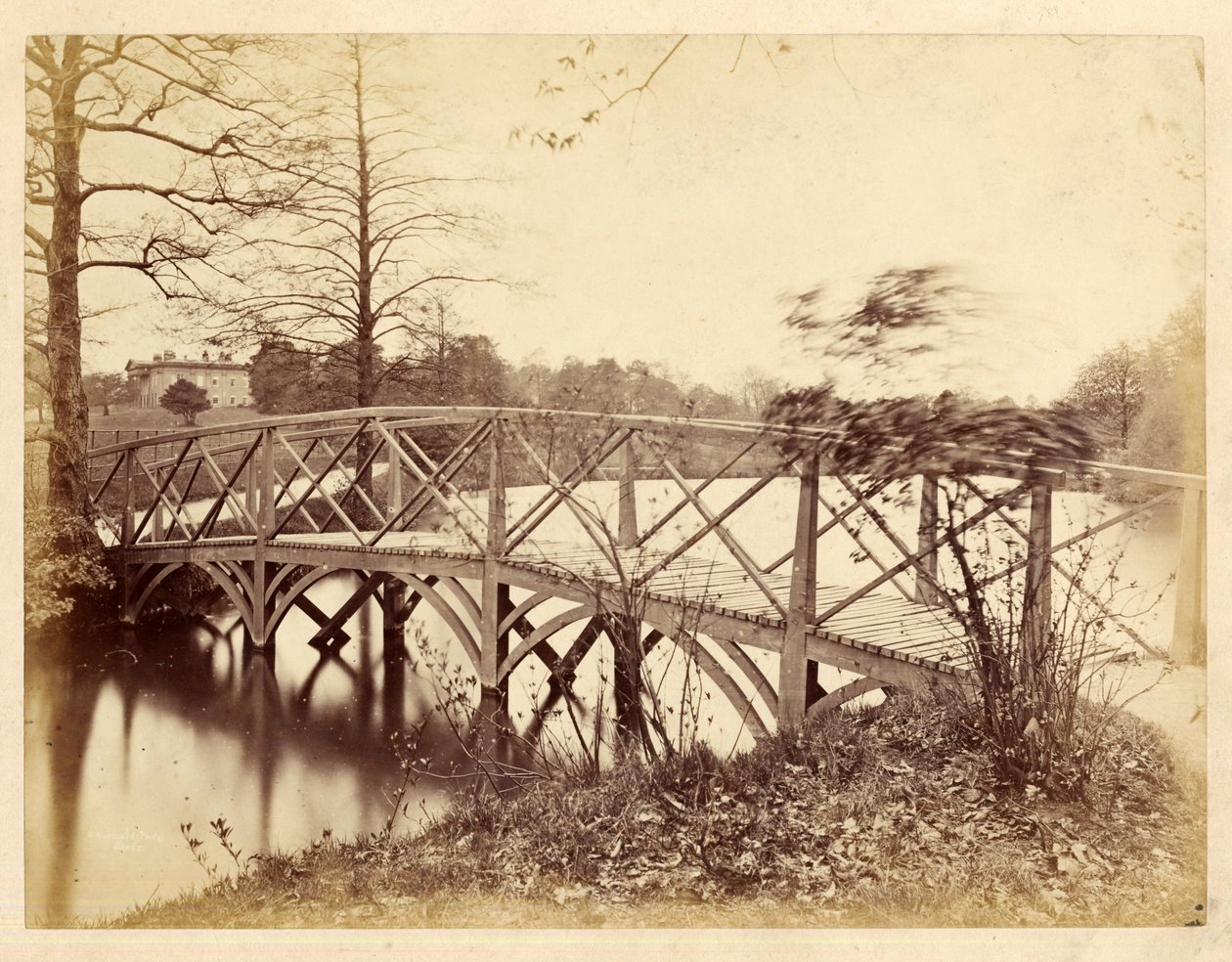 Roundhay Park (s/v foto) av Edward Wormald