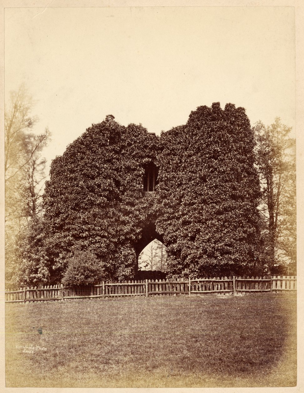 Utsikt över en dårskap i Roundhay Park (albumintryck) av Edward Wormald