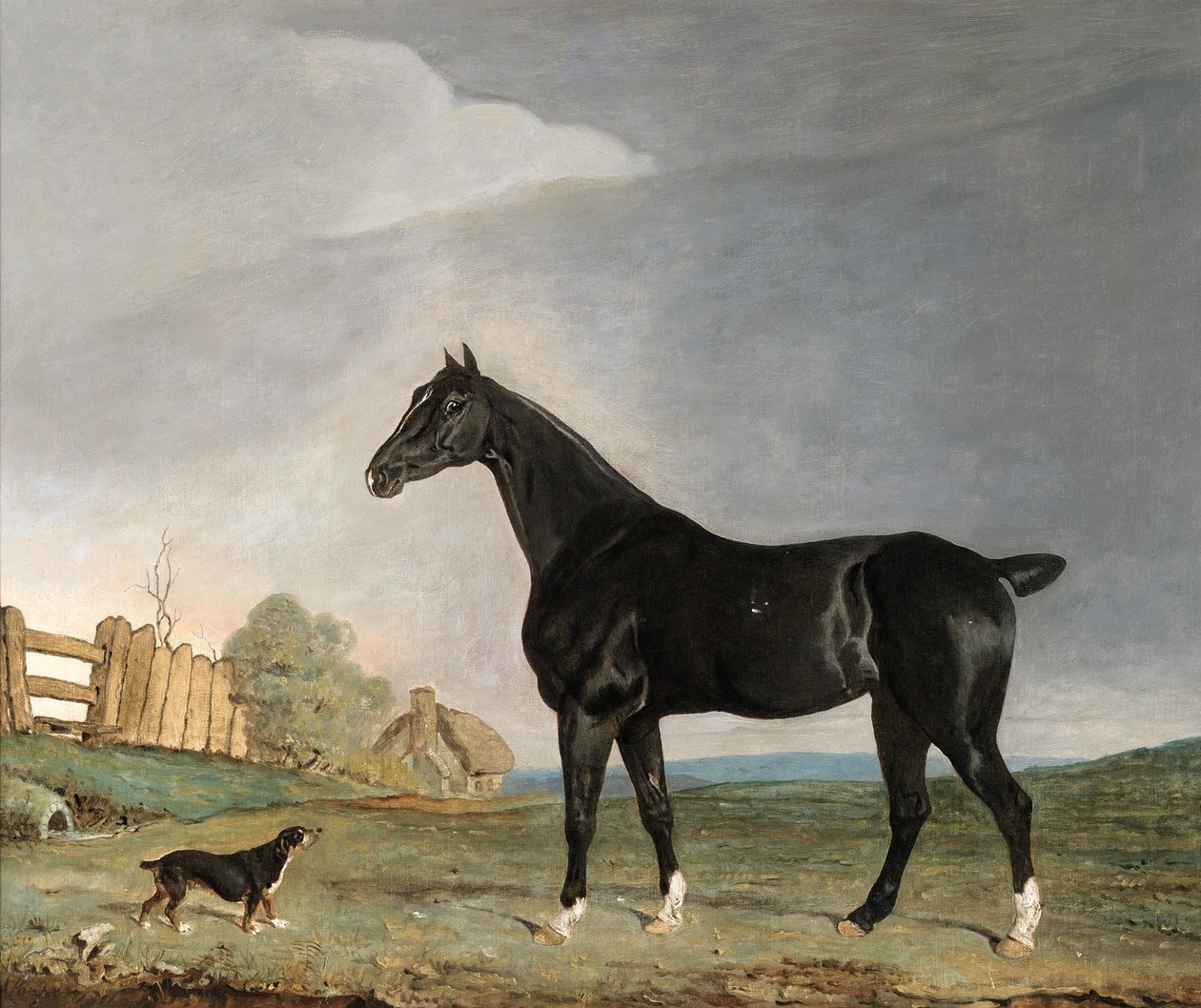 En mörk bukhäst och en terrier i ett landskap av Edwin W. Cooper