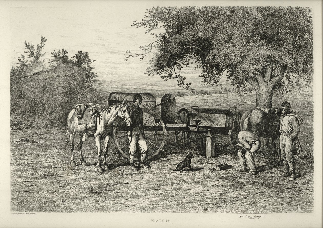 En armésmedja av Edwin Austin Forbes
