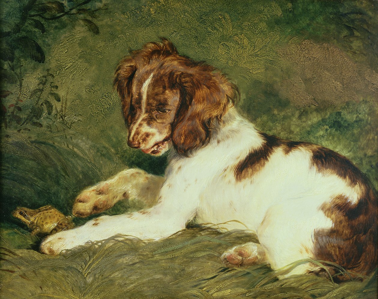 En valp som retar en groda, 1824 (panel) av Edwin Landseer