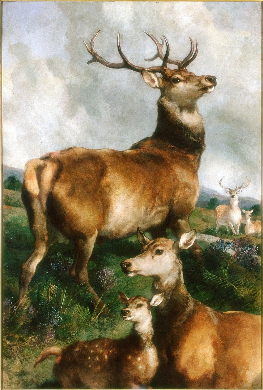 Deer of Chillingham Park, Northumberland, ca 1867 av Edwin Landseer