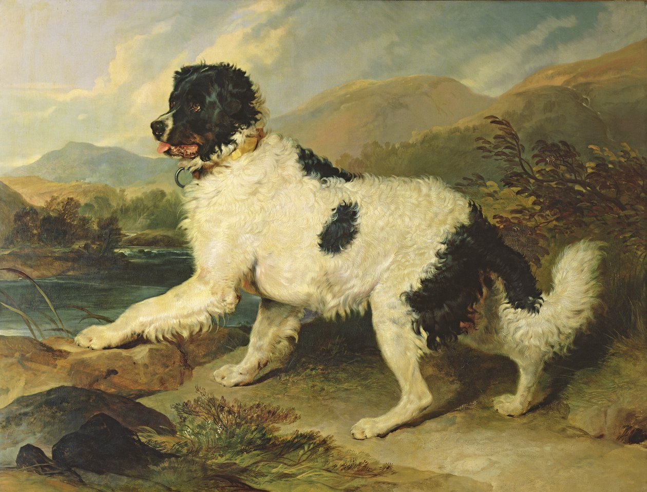 Newfoundlandshund som kallas lejon, 1824 av Edwin Landseer