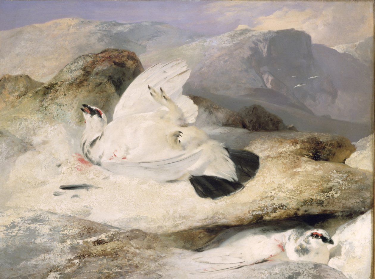 Ptarmigan av Edwin Landseer