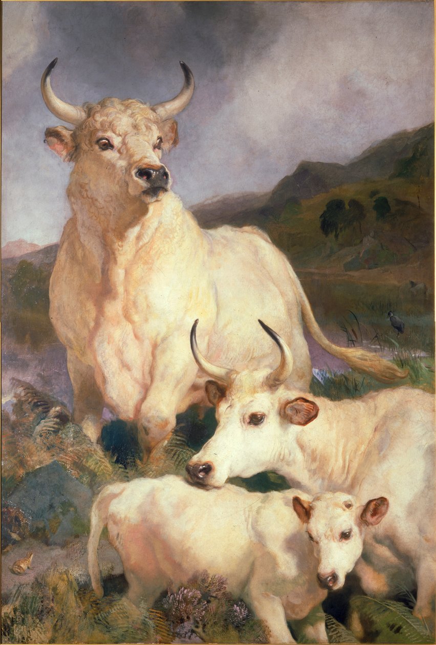 Wild Cattle of Chillingham, Northumberland, ca 1867 av Edwin Landseer