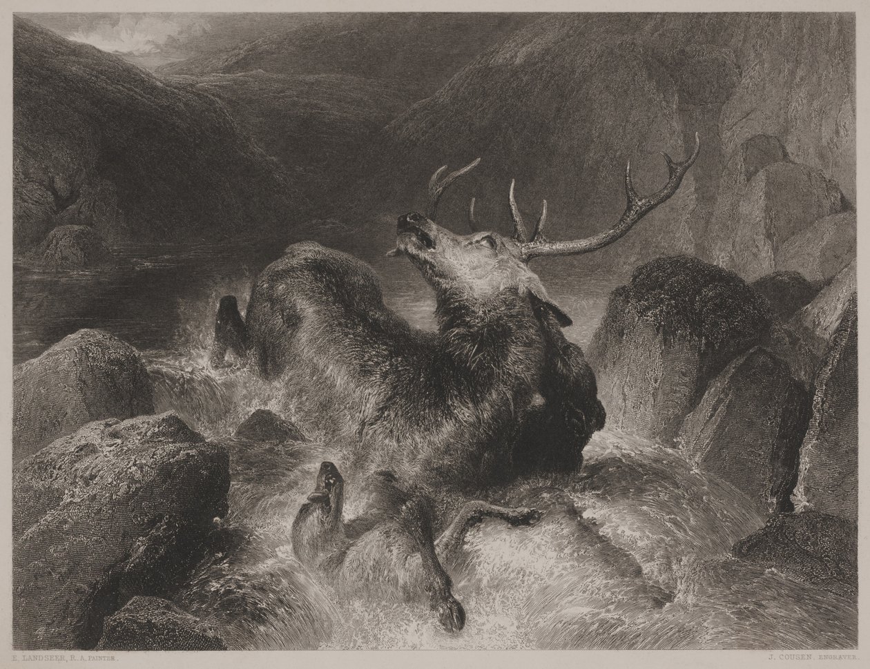 Death of the Stag, graverad av John Cousen (1804-80) av Edwin (after) Landseer