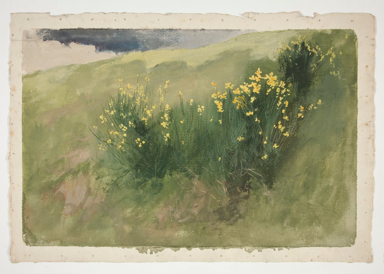 Landskap med vilda blommor av Edwin Austin Abbey