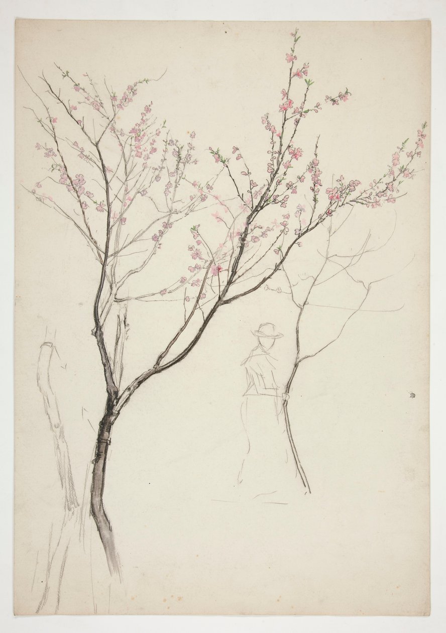 Studie av en figur under ett blommande träd av Edwin Austin Abbey