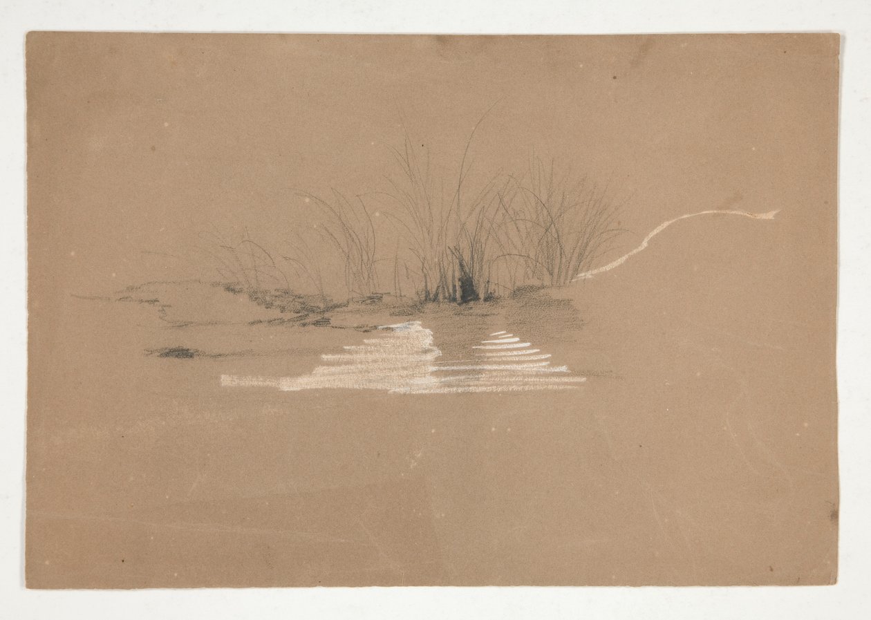 Träd på stranden av floden (?) av Edwin Austin Abbey