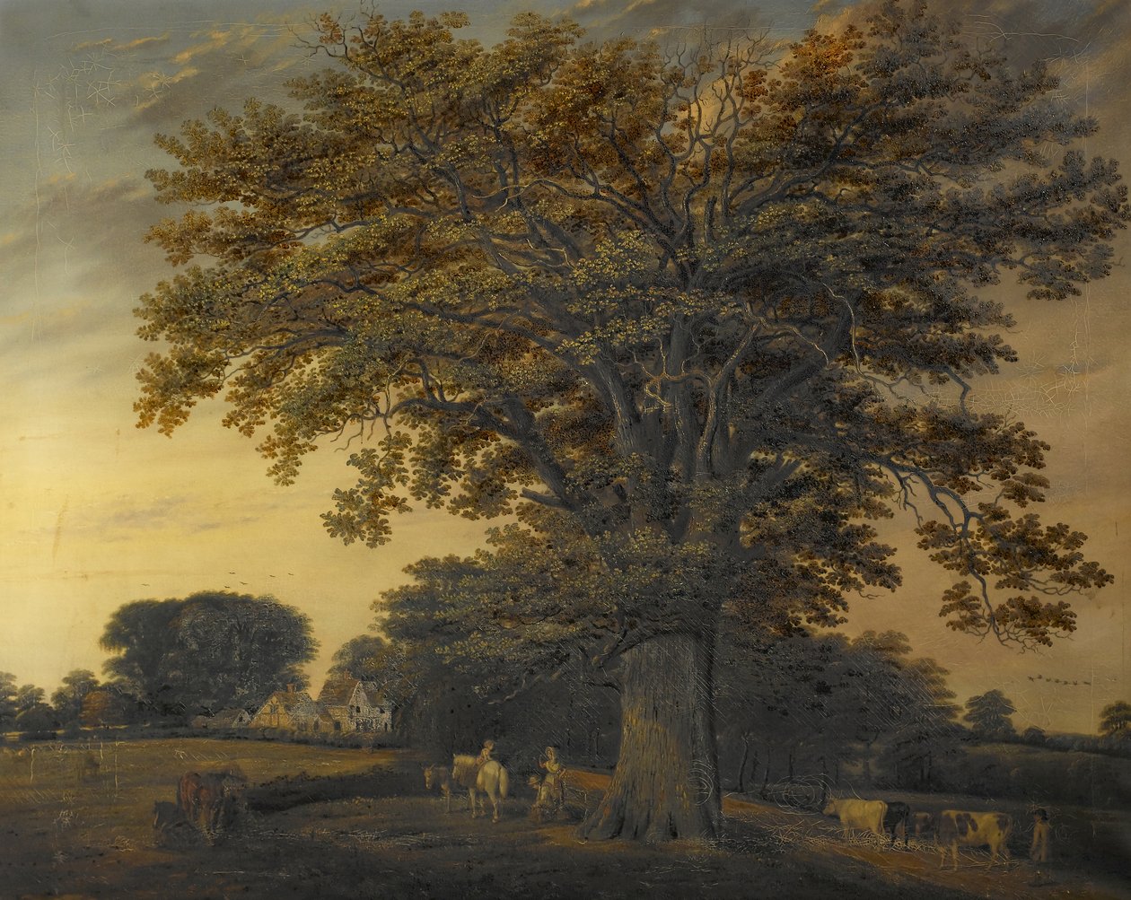 Binley Oak, 1848 av Edwin Brown