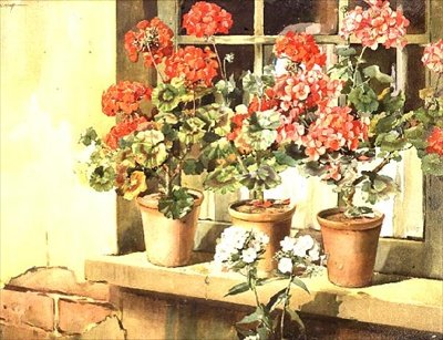 Pelargoner av Edwin Byatt