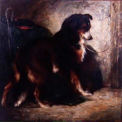 Herdens collie av Edwin Douglas