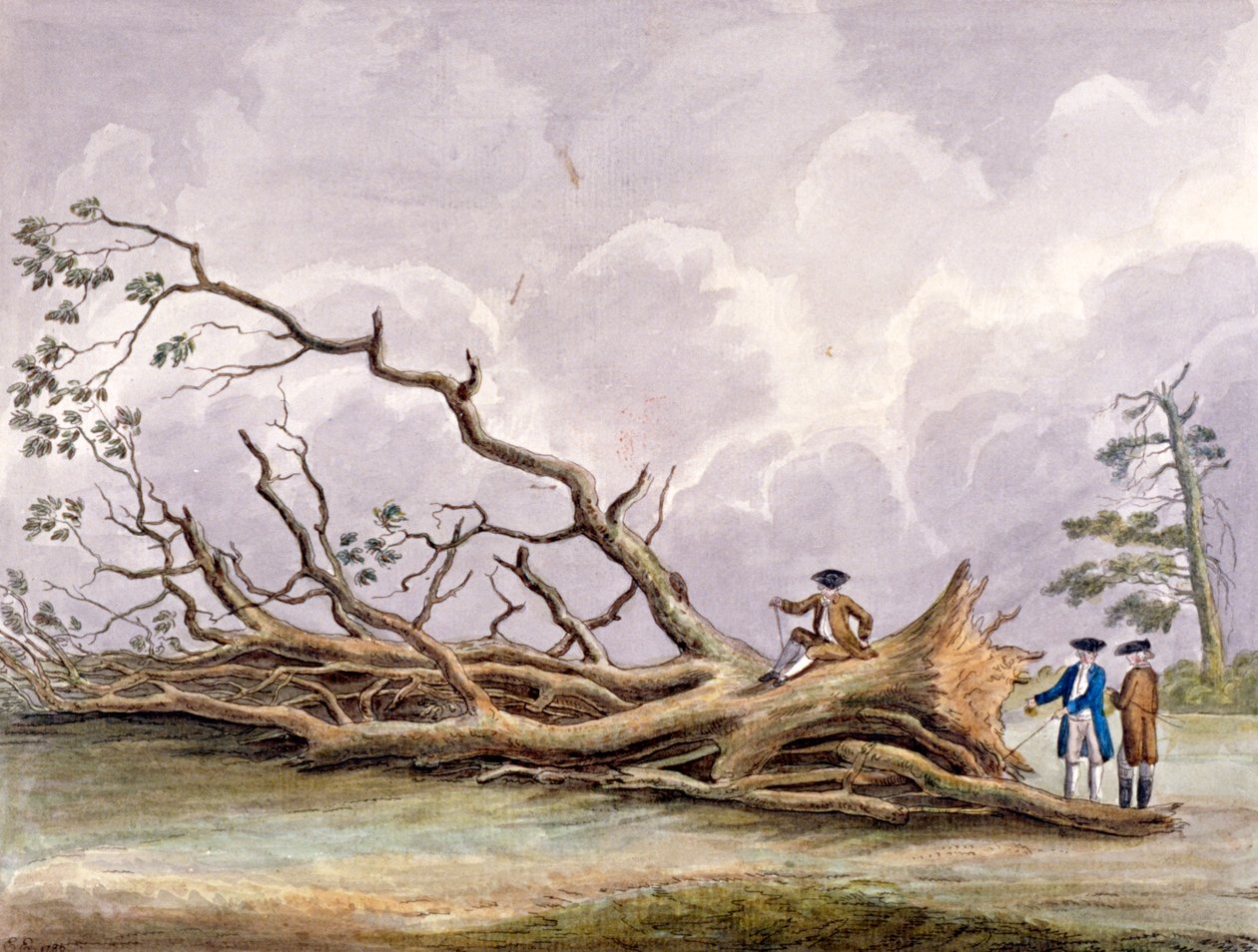 Träd skadade av en storm den 15 oktober, Roehampton, London, 1780 av Edwin Edwards