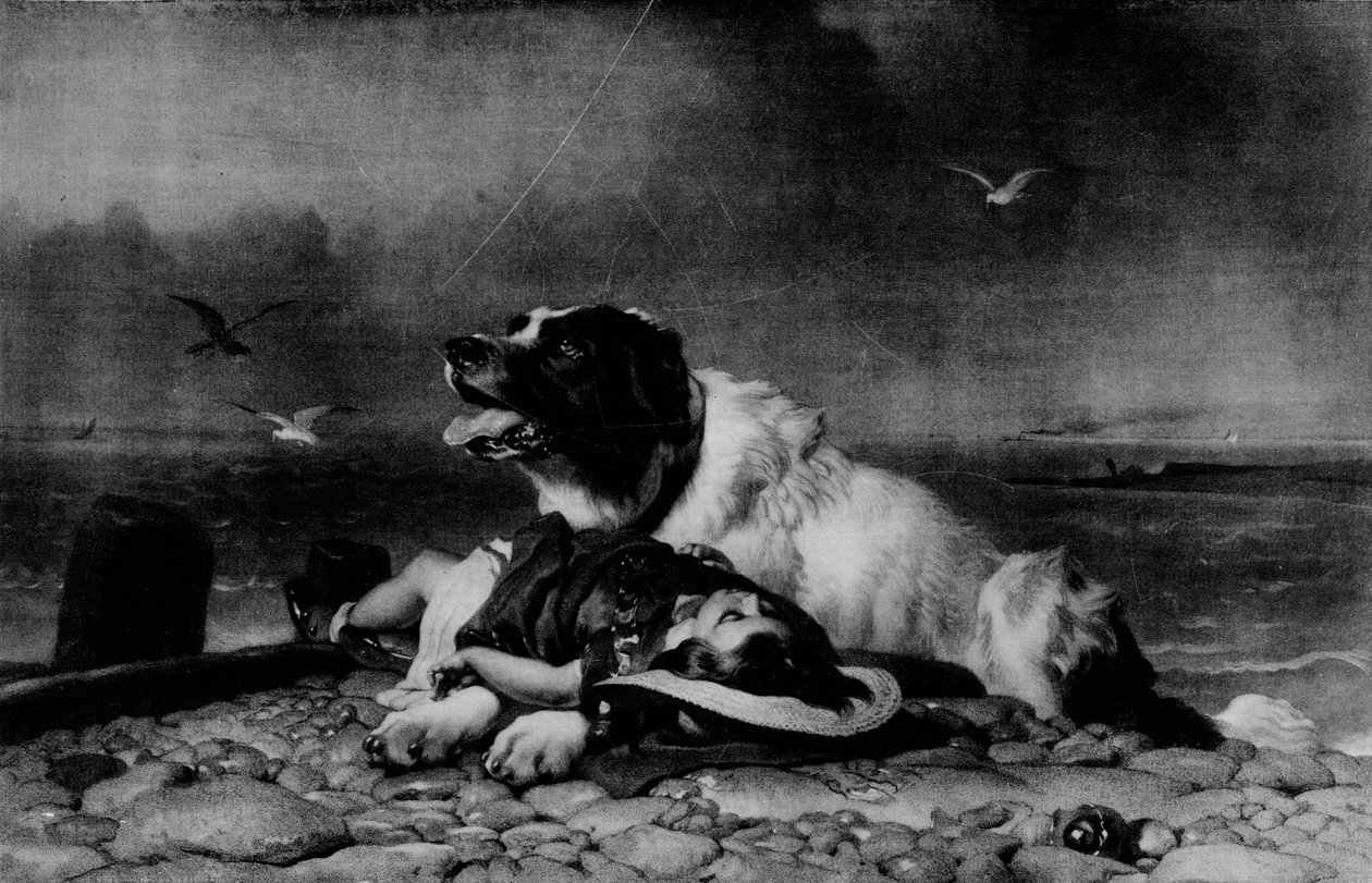 Räddad!, c1856, 1911 av Edwin Landseer