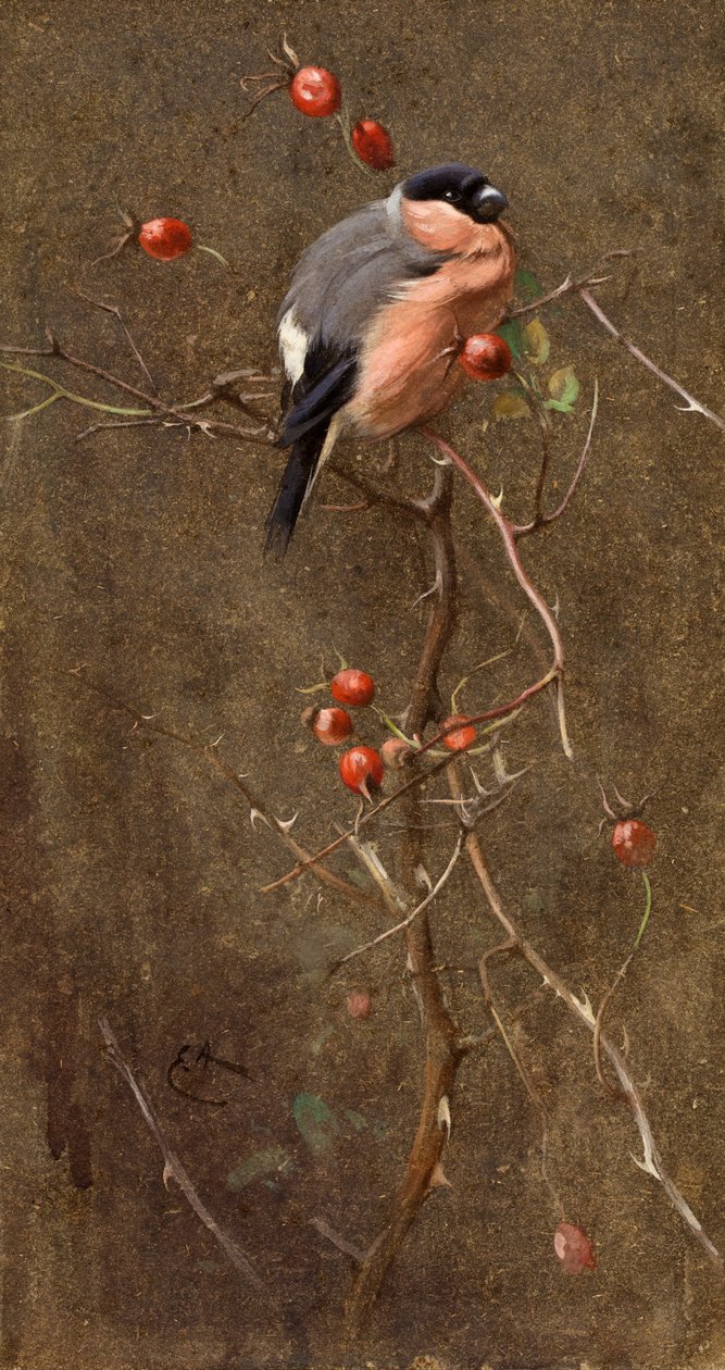 Domherren av Edwin John Alexander
