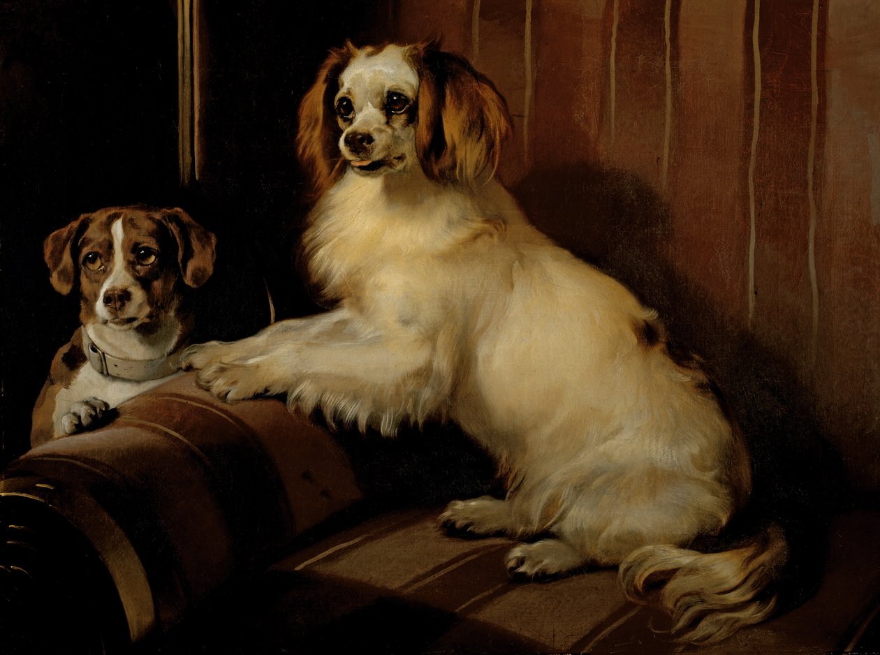 Bon(e)y och Var, ca 1843 (olja på duk) av Edwin Landseer