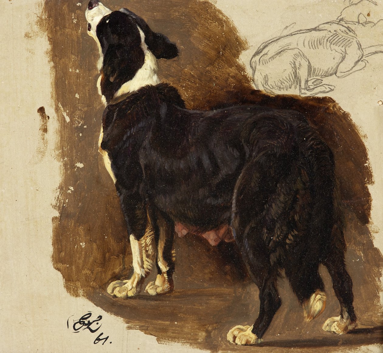 Collie Bitch (olja & penna på kort) av Edwin Landseer