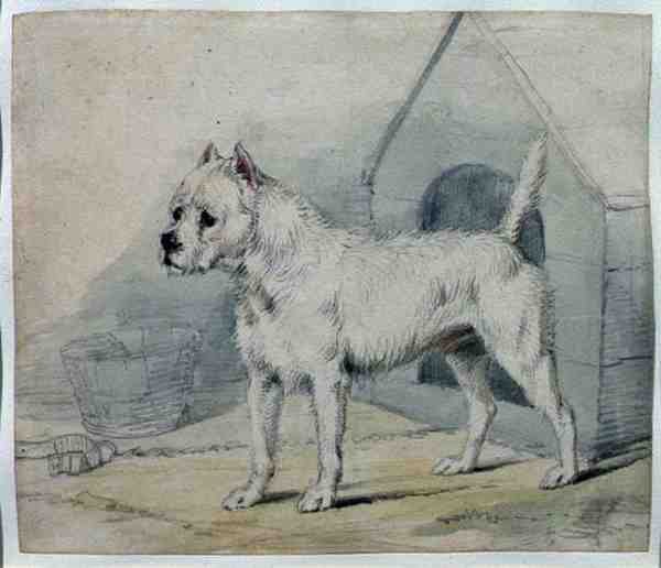 Hund utanför en kennel (penna och tvätt) av Edwin Landseer