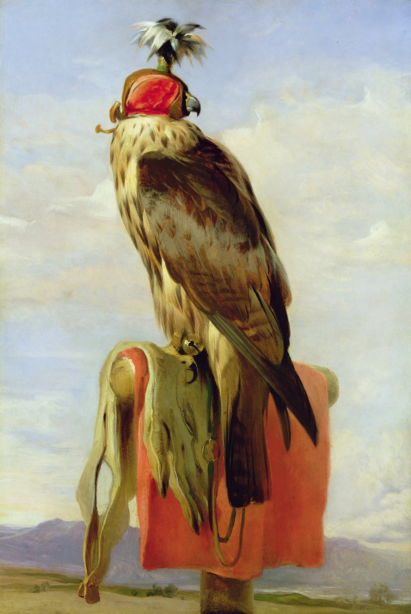 Hooded Falcon av Edwin Landseer