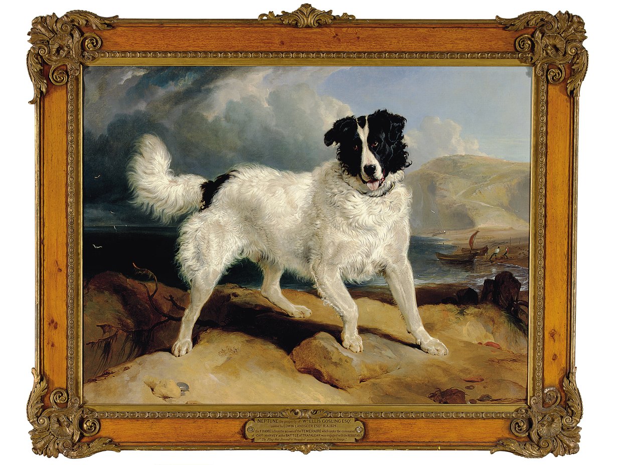 Neptunus, William Ellis Goslings egendom, Esq., 1824 av Edwin Landseer
