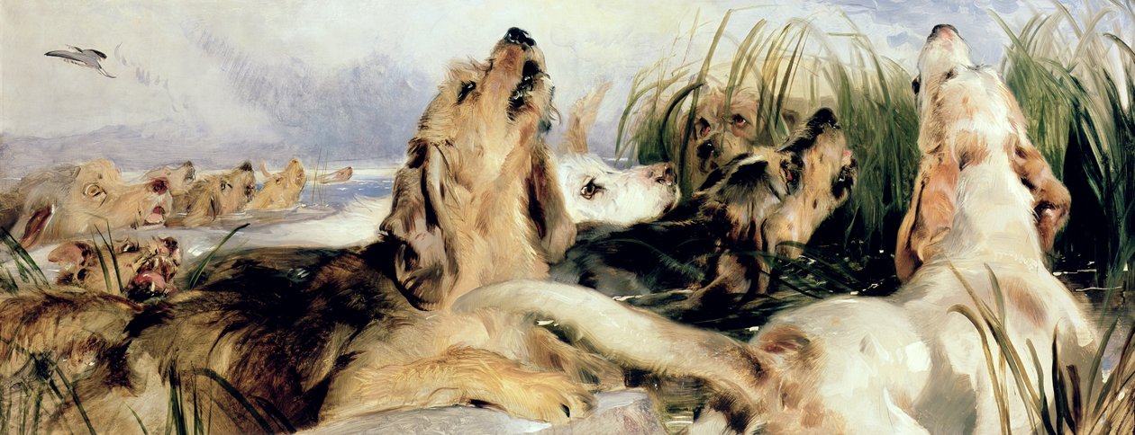 Otter Hundar av Edwin Landseer