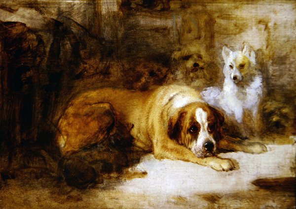 Study of Dogs (olja över penna på duk) av Edwin Landseer