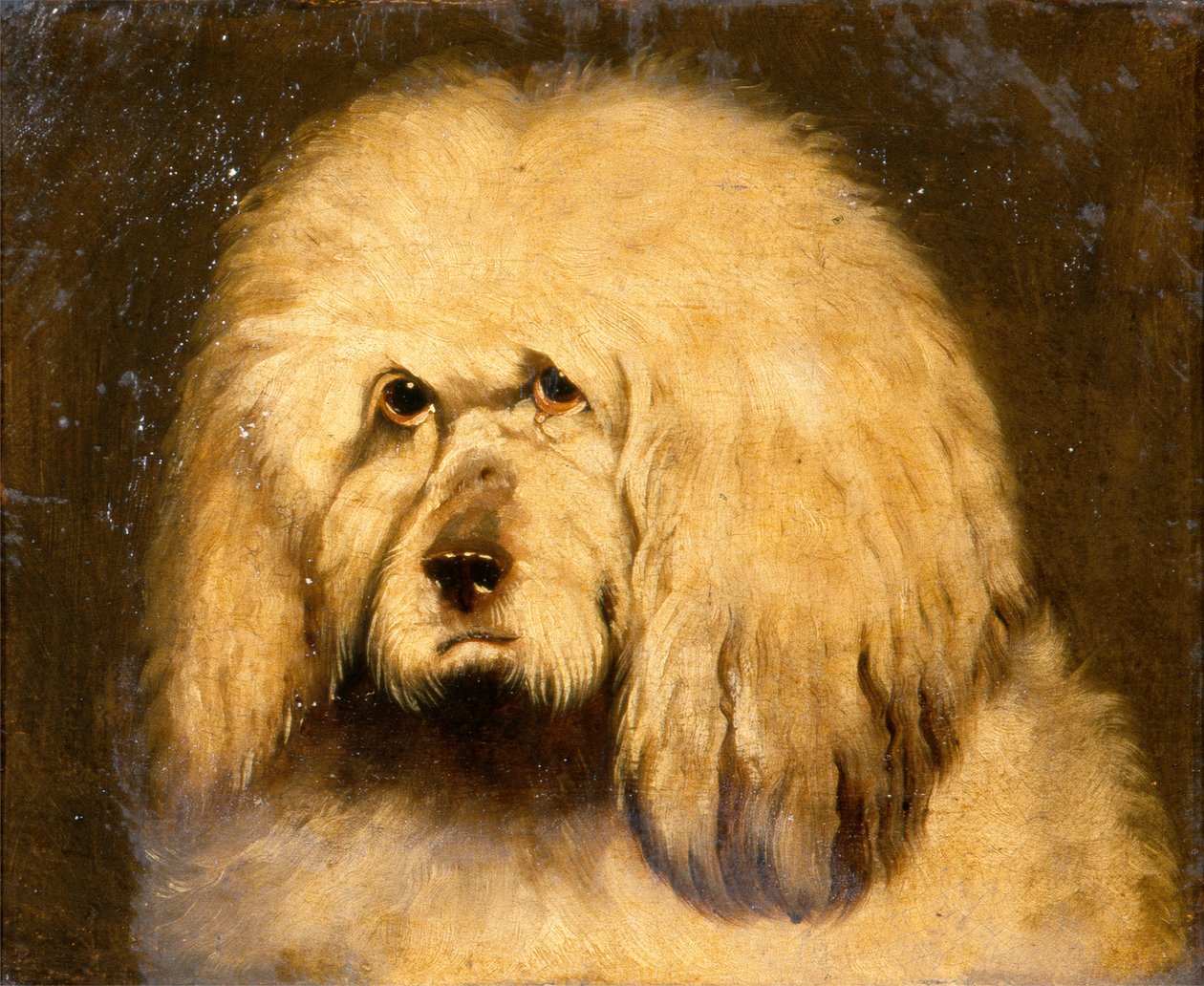 Studie av ett hundhuvud (olja på duk) av Edwin Landseer