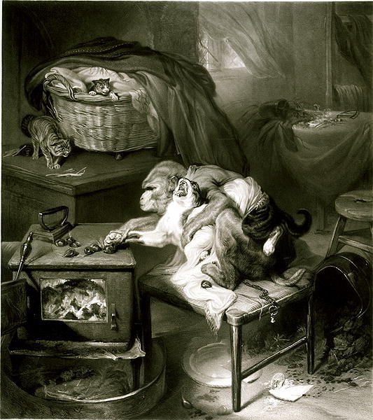 Kattens tass (gravyr) av Edwin Landseer