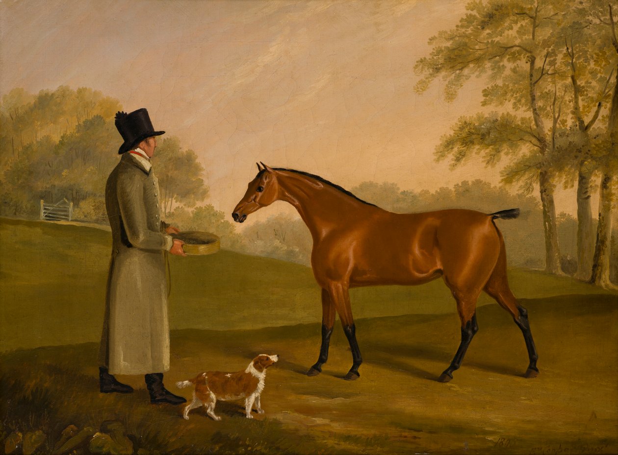 A Horse in a Landscape with the Groom, David, Bennet, c.1805 (olja på duk) av Edwin W. Cooper