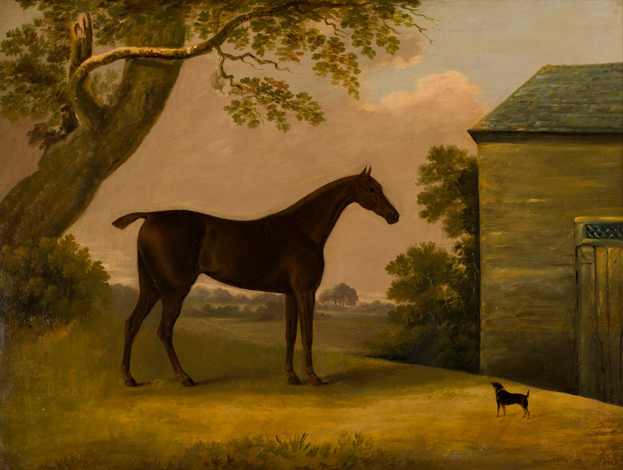Bay Hunter och en terrior utanför ett stall, ca 1805 (olja på duk) av Edwin W. Cooper