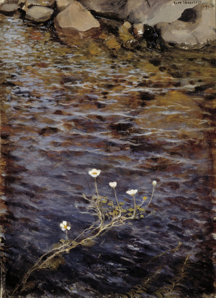 Dammvatten Crowfoot av Eero Järnefelt