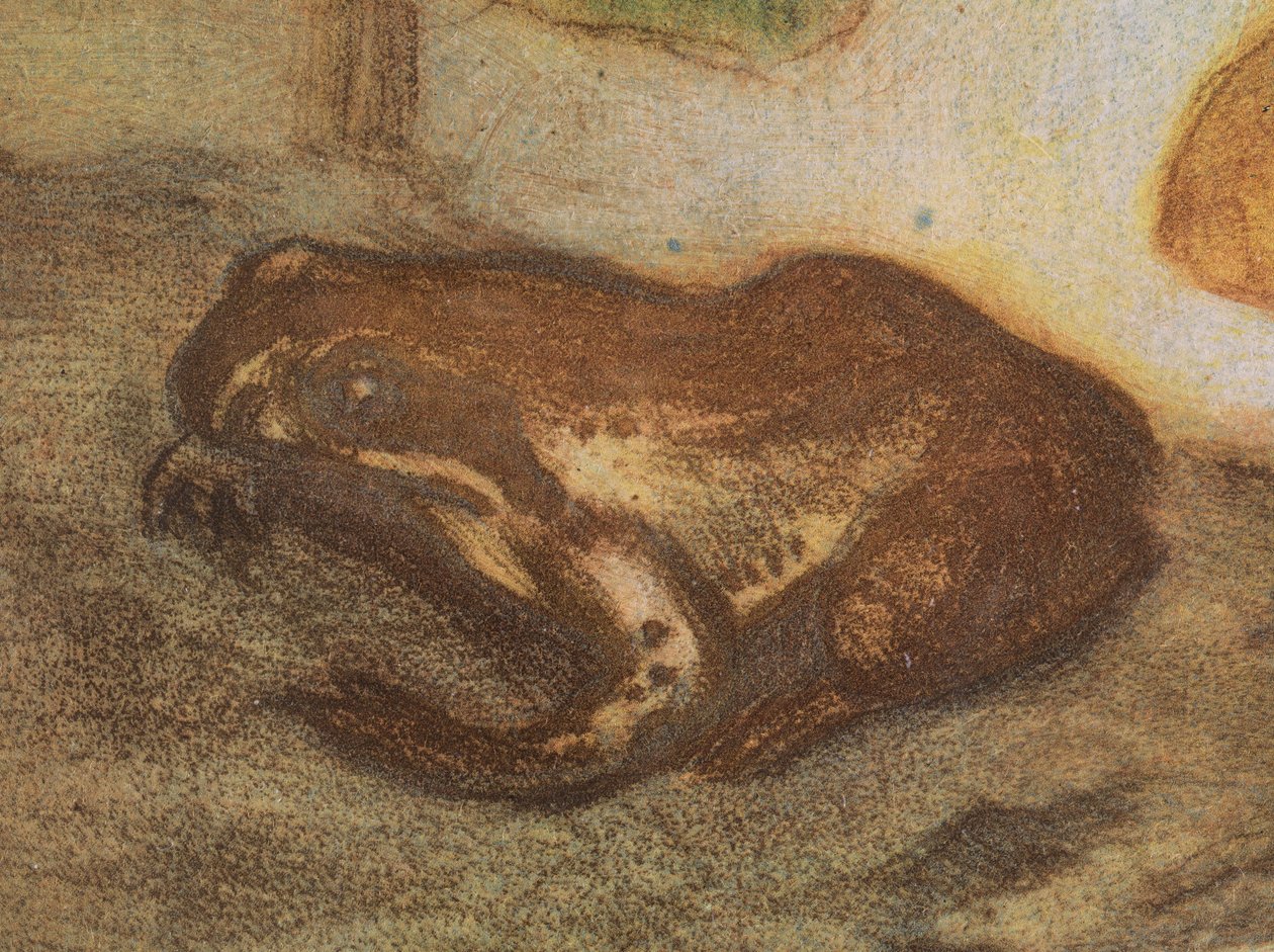 Groda med kabbleka av Eero Järnefelt