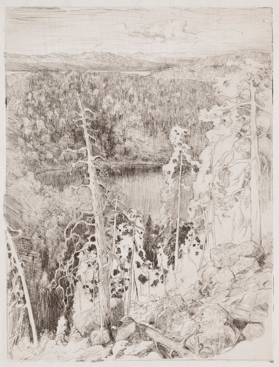 Landskap från Koli; Skogslandskap från Räsävaara av Eero Järnefelt