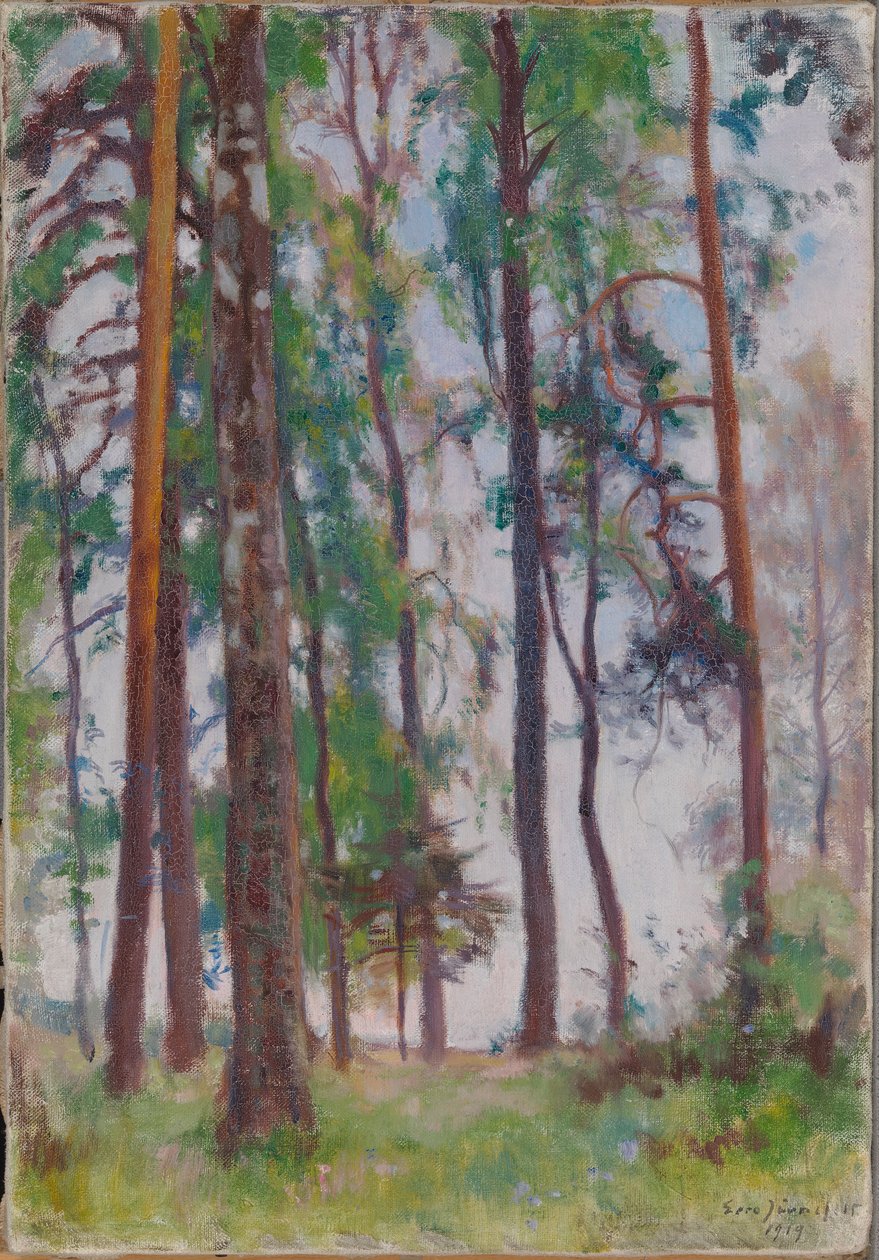 Pines av Eero Järnefelt