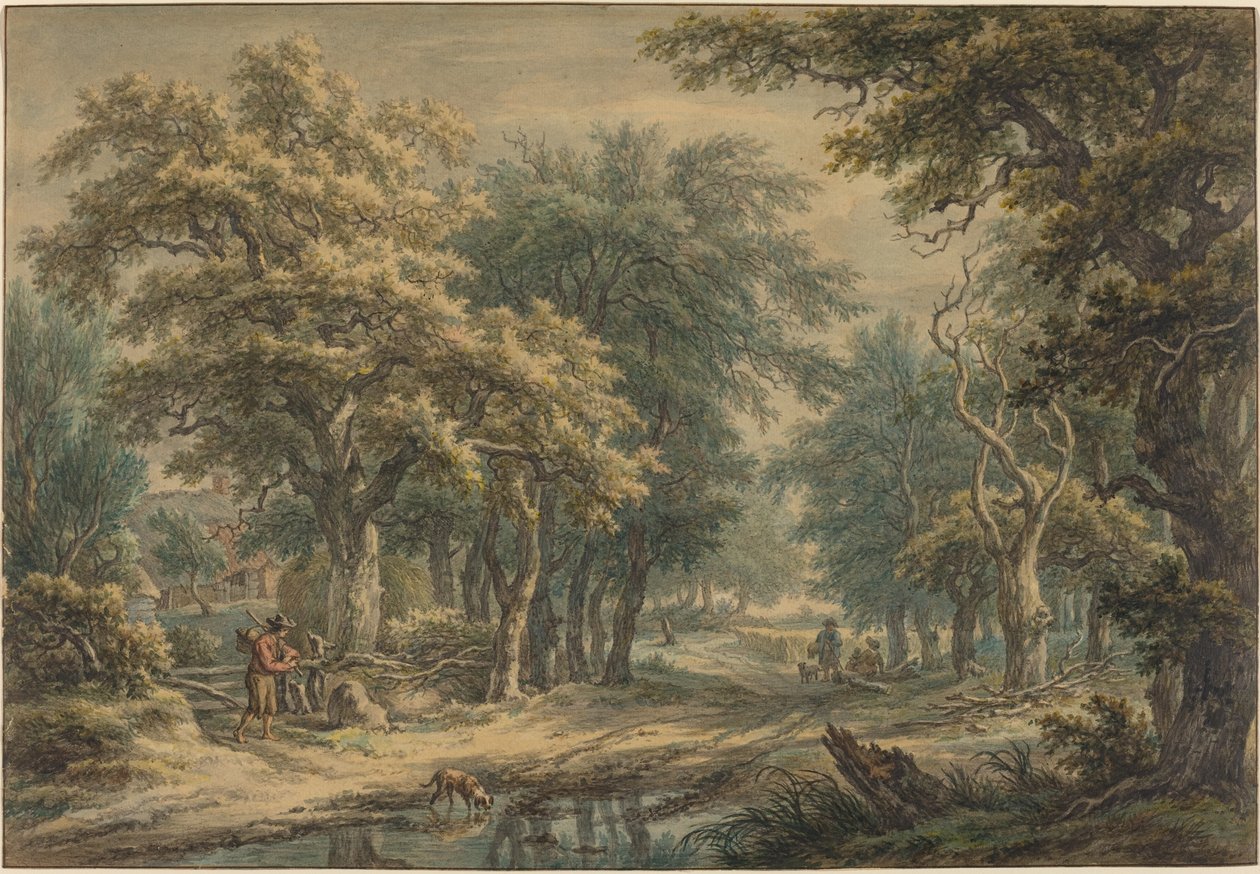 Vid Donderen, i skogen i Drenthe av Egbert van Drielst