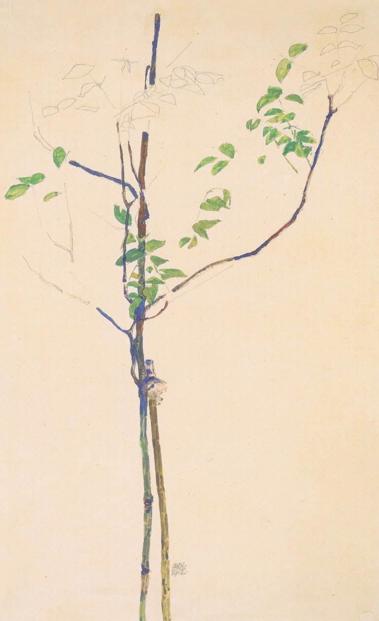 Ung planta med stöd av Egon Schiele